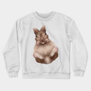 Baby Rabbit Sleeping Beatrix Potter Inspired Watercolor| Baby Nursery Art Crewneck Sweatshirt
